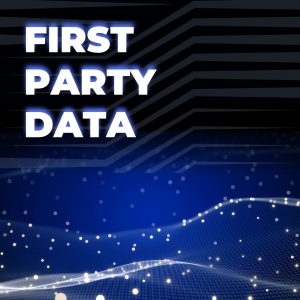 image of data grid with words First Party Data